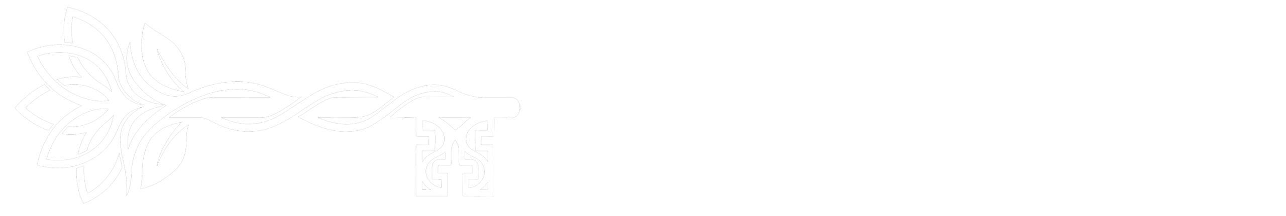 Vancouver Experiences